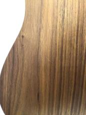 Taylor BT1e_10