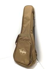 Taylor BT1e_11