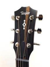 Taylor Next Generation 312ce_3