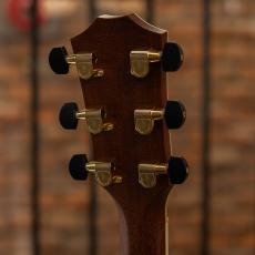 Taylor PS-15 Jacaranda_10