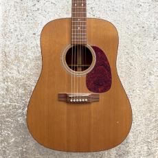Martin D-1