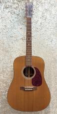 Martin D-1_3