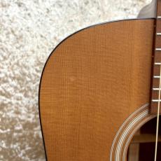 Martin D-1_6