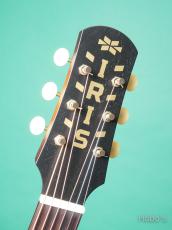 IRIS GUITAR COMPANY The OG Model Tabacco Burst_3