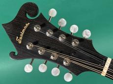 Eastman MD-314 AR_5