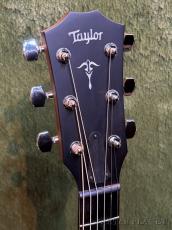 Taylor 【Taylor認定中古品】512ce V-Class Red Ironbark -2022USED-【48回迄金利0%対象】【送料当社負担】_3