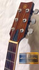 YAMAHA FG-250F_5