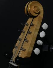 Eastman EM190【マンドリン】_4