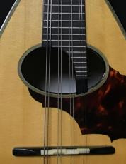 Eastman EM190【マンドリン】_5