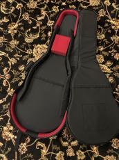 NAZCA 【特別価格】セミアコ用 (ES-335)【日本製】_3