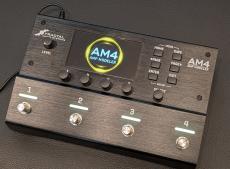 Fractal Audio Systems AM4