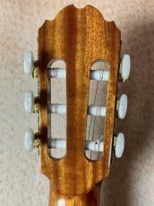 Orpheus Valley Guitars 【芯のあるサウンド!!】Fiesta F65S 松×ローズウッド【送料当社負担・最大48回無金利】_6