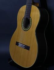 Takamine No.75FH 640mm_2