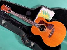 Guild F-30 NT