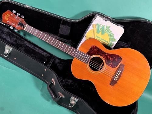 Guild F-30 NT