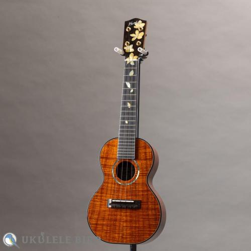 Ko'olau C-100 Concert Plumeria UB 5th