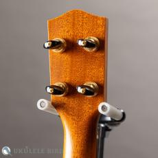Ko'olau C-100 Concert Plumeria UB 5th_7