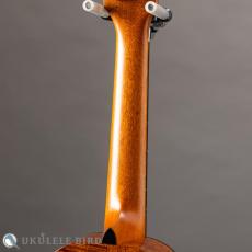 Ko'olau C-100 Concert Plumeria UB 5th_8