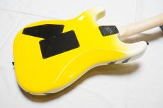 Edwards E-YELLOW TIGER_4