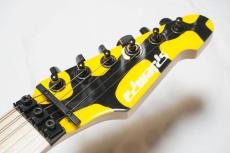 Edwards E-YELLOW TIGER_7