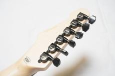 Edwards E-YELLOW TIGER_8