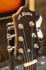 GrassRoots G-AC/S NTL/STN_5