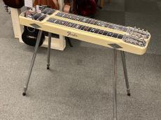 Fender Stringmaster Dual-8_6