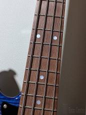 momose MJ-TOCHI WSE'24/NJ -Hydrangea Blue Burst- #20086【4.05kg】_8