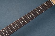 FUJIGEN NTE210RAH -2Tone Sunburst-【3.54kg】_9