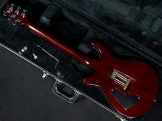 Paul Reed Smith [PRS] Custom 24 10top Tortoise Shell 1997_7