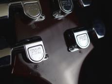 Paul Reed Smith [PRS] Custom 24 10top Tortoise Shell 1997_11
