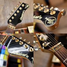 Valley Arts Standard Pro_3
