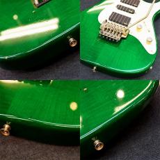Valley Arts Standard Pro_6