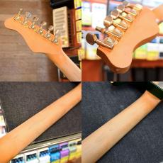 Valley Arts Standard Pro_7