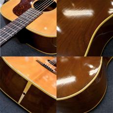 Gibson J-50 Deluxe_8