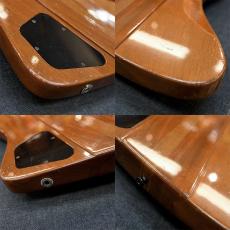 Gibson Thunderbird IV_3