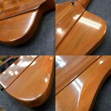 Gibson Thunderbird IV_4