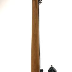Sadowsky MX20 UV4 Maple Fingerboard / SWG_5
