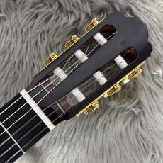 ASTURIAS S-3 松/ローズウッド【USED】_3