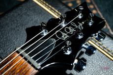 Paul Reed Smith [PRS] Custom22 10top [Wide Fat Neck] Whale Blue / 2004_3