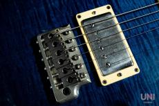 Paul Reed Smith [PRS] Custom22 10top [Wide Fat Neck] Whale Blue / 2004_5