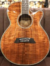 Takamine DMP100K N【オールハワイアンコア】【アーチトップバックボディ】_2