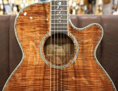 Takamine DMP100K N【オールハワイアンコア】【アーチトップバックボディ】_5