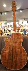 Takamine DMP100K N【オールハワイアンコア】【アーチトップバックボディ】_6
