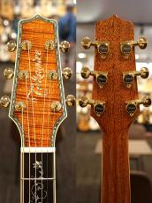 Takamine DMP100K N【オールハワイアンコア】【アーチトップバックボディ】_9