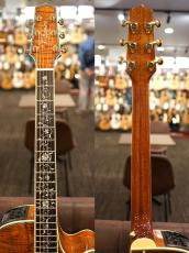 Takamine DMP100K N【オールハワイアンコア】【アーチトップバックボディ】_10
