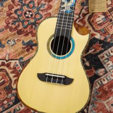 ORTEGA EAGLESUITE-U Concert Size Ukulele "THE PRIVATE ROOM" Series