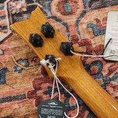 ORTEGA EAGLESUITE-U Concert Size Ukulele "THE PRIVATE ROOM" Series_6