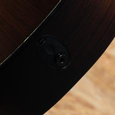 Taylor Builder's Edition 912ce WHB 2020_10