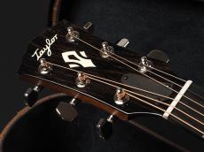 Taylor Gold Label 517e SB w/ Cream Pickguard_3